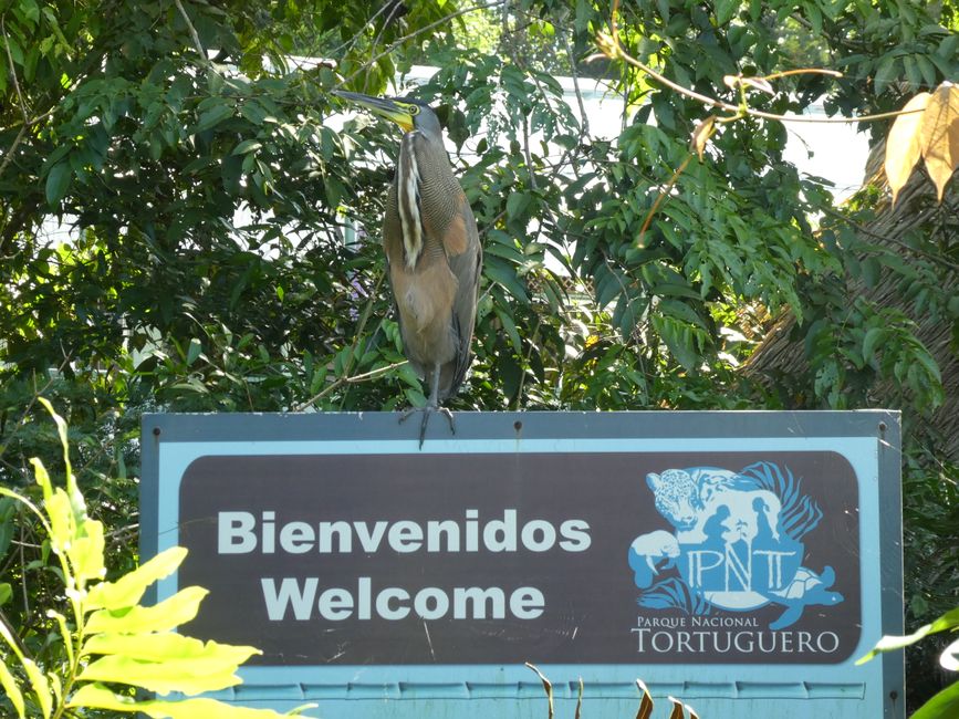 Entrance to Tortugero National Park