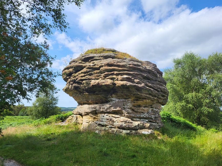 Dalby Forest