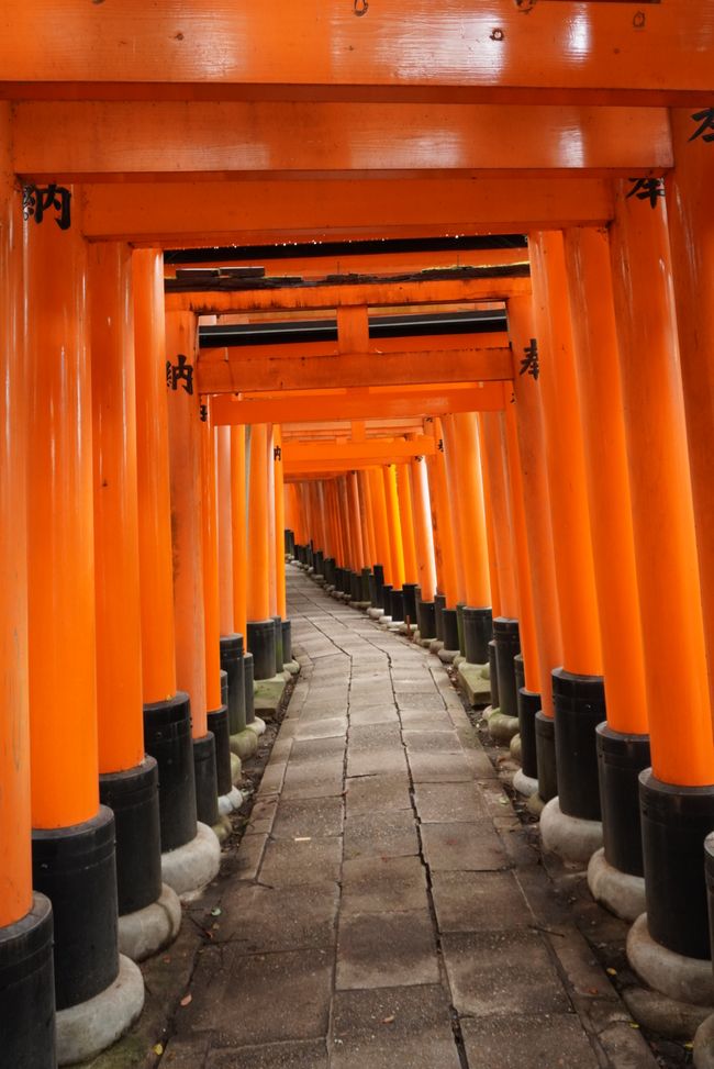 Im Sprint durch Kyoto