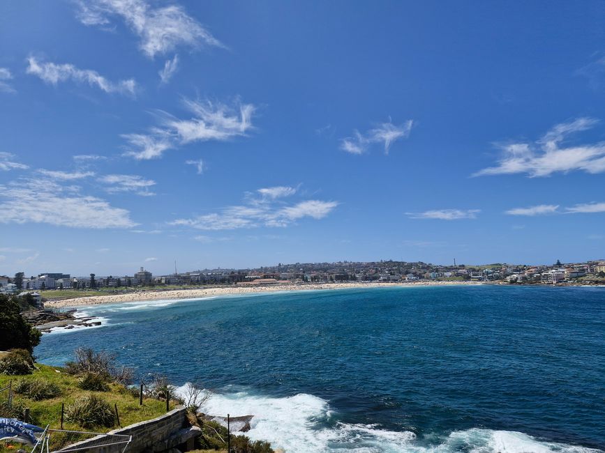 Bondi wird größer