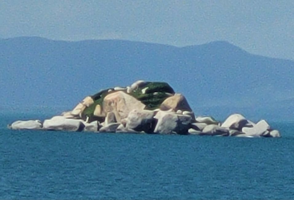 Tag 103 und 104 bis 106 von 175: Kreuzfahrt rund um die Welt  - Cairns/Australien und drei Seetage