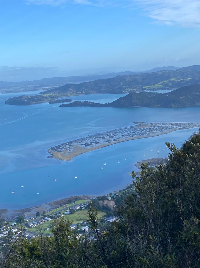 De whangarei à auckland