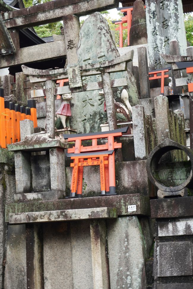 Im Sprint durch Kyoto