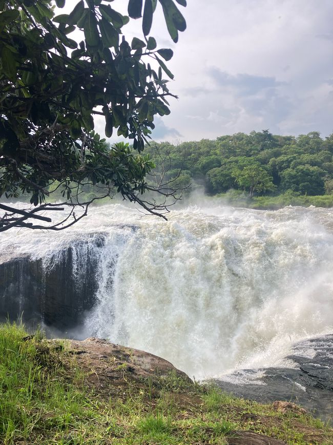 Nationalpark Murchison Falls
