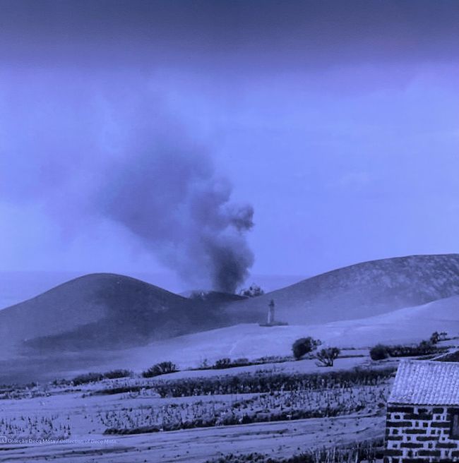 Faial el número 4