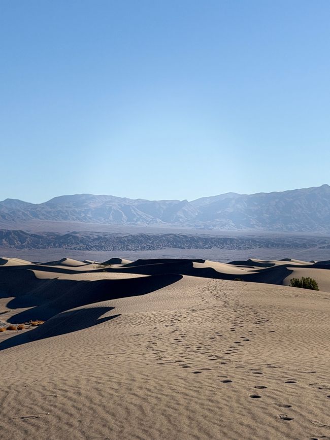 Mesquite Dunes 