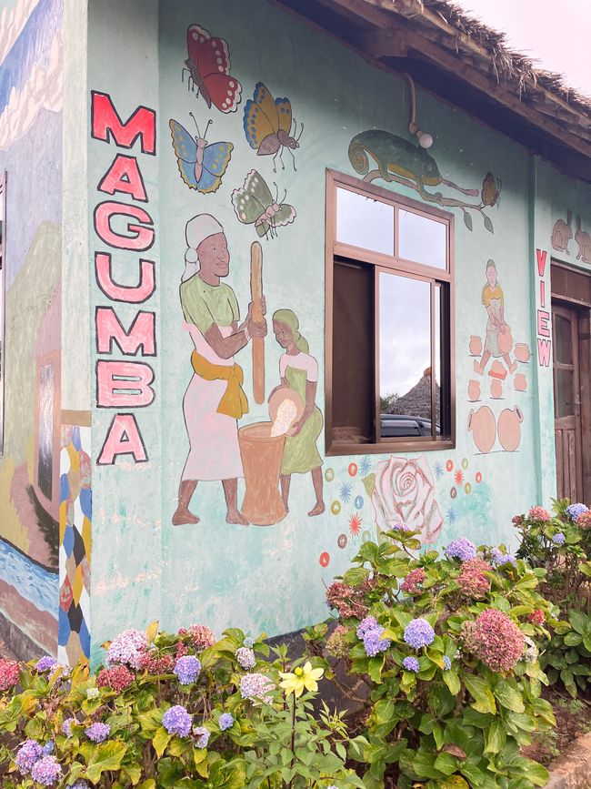 En las Montañas Usambara