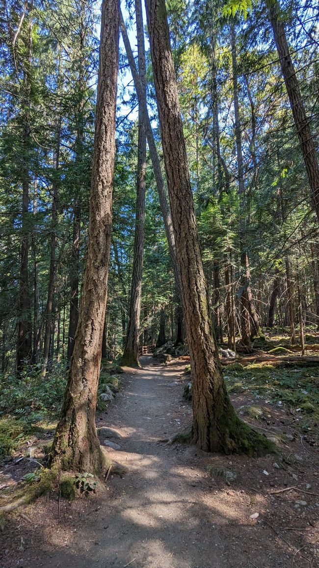 Englishman River Falls Provincial Park