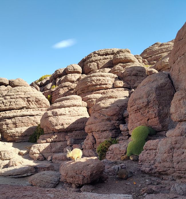 Bolivia, Tour de Lagunas