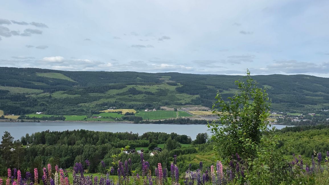 Insel Runde-Südnorwegen
22.Juni 2026