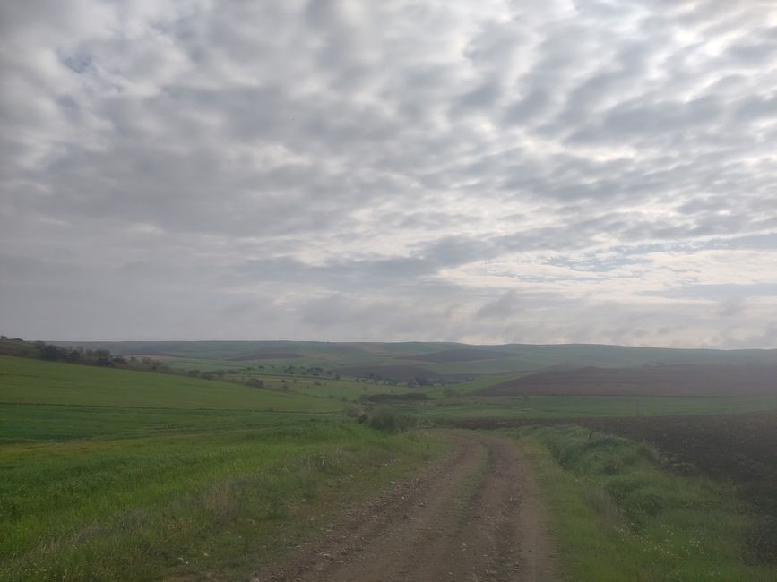 zum Teil recht ausgeräumte (Agrar)landschaft