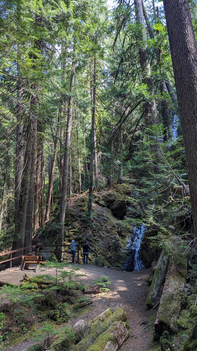 Lupin Falls Trail