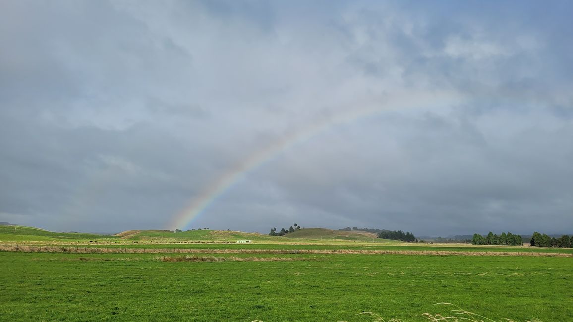 29 janvier - 27 février 2025 Nouvelle-Zélande
19 février