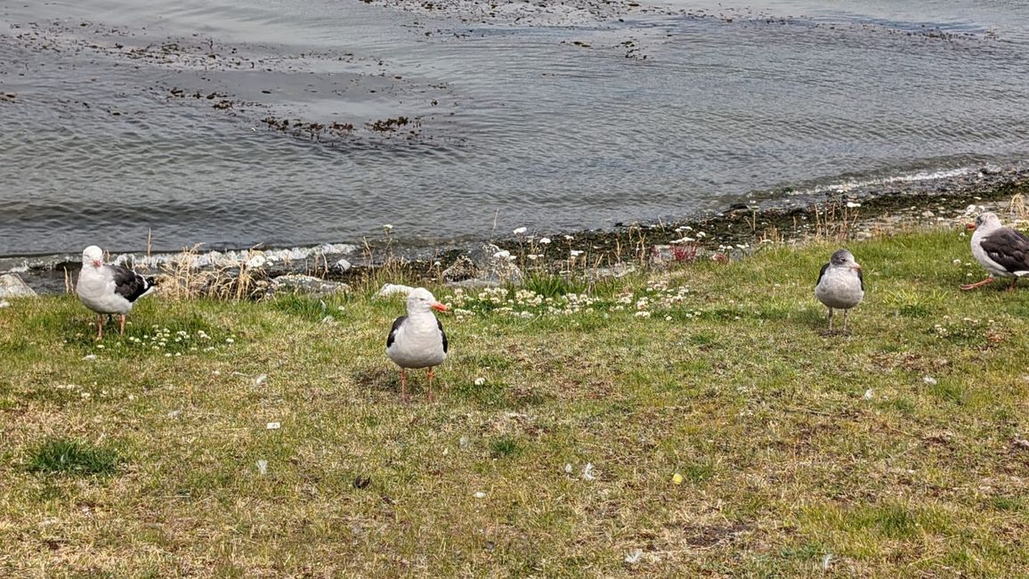 Da Buenos Aires a Ushuaia, Terra del Fuoco