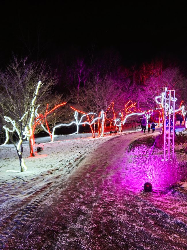 Dazzling Nights Pittsburgh Botanic Garden