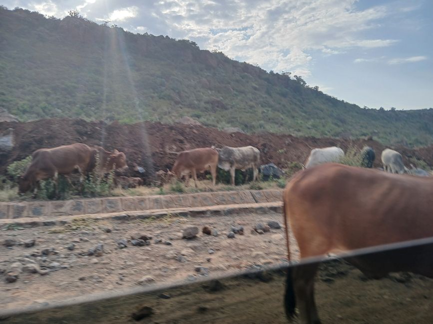 In the land of the Maasai