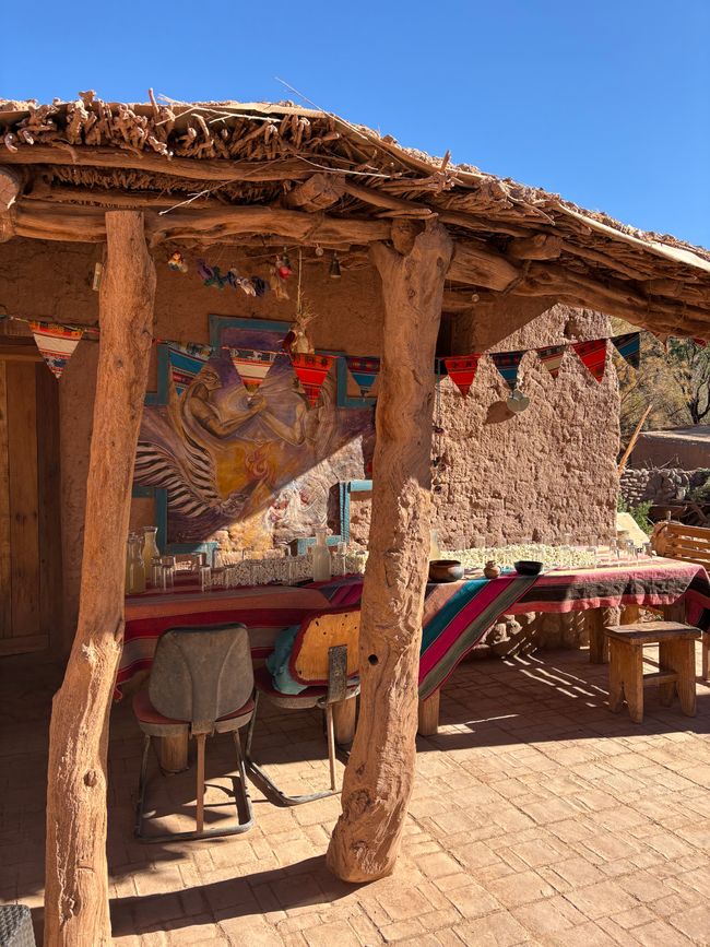 Désert d'Atacama 🦙🦩🌵