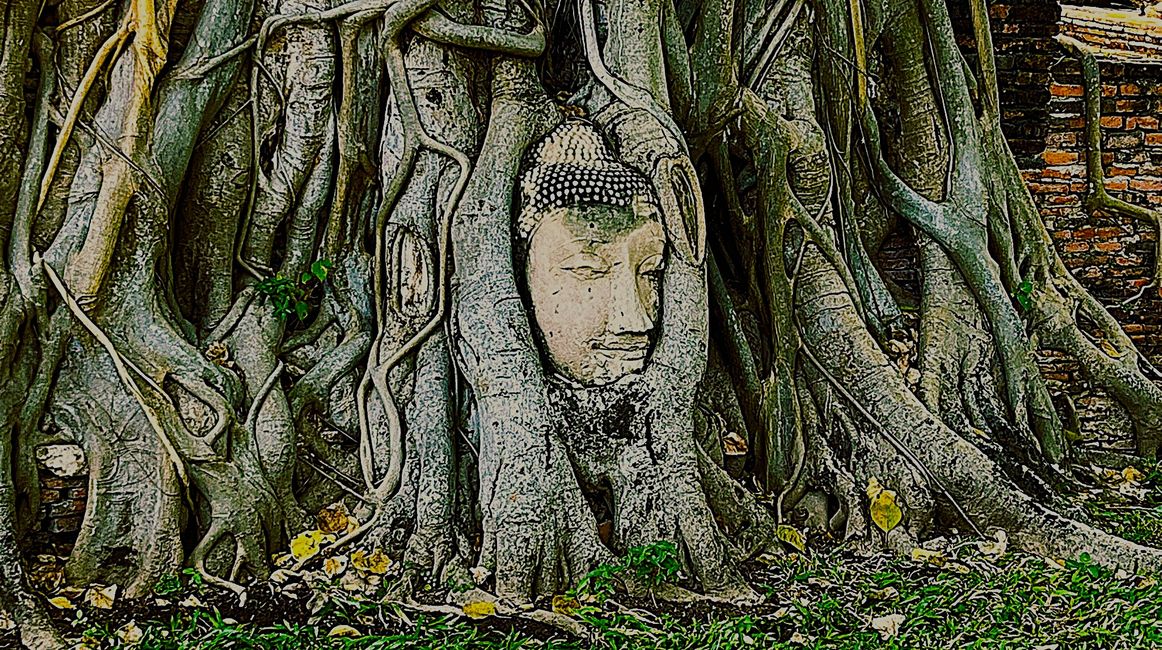 佛头，瓦玛哈塔寺