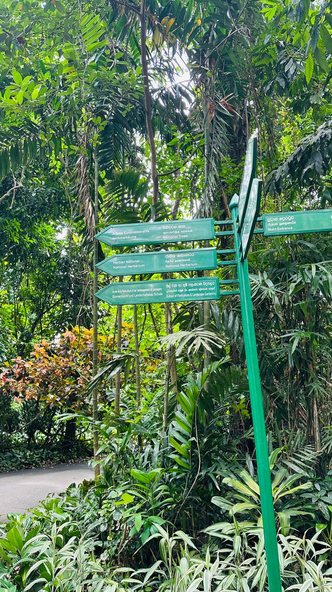 Königlich Botanischer Garten Peradeniya