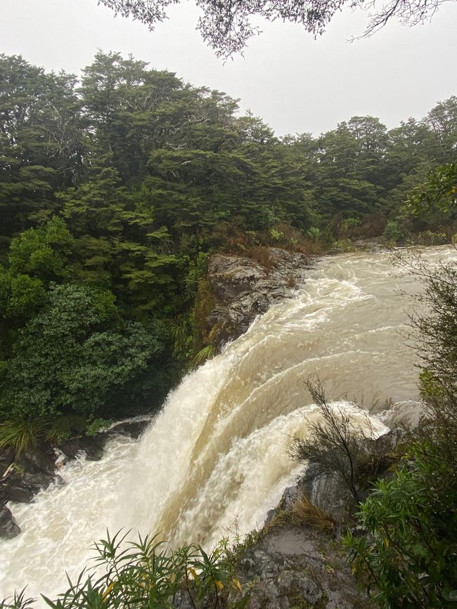 Taupo