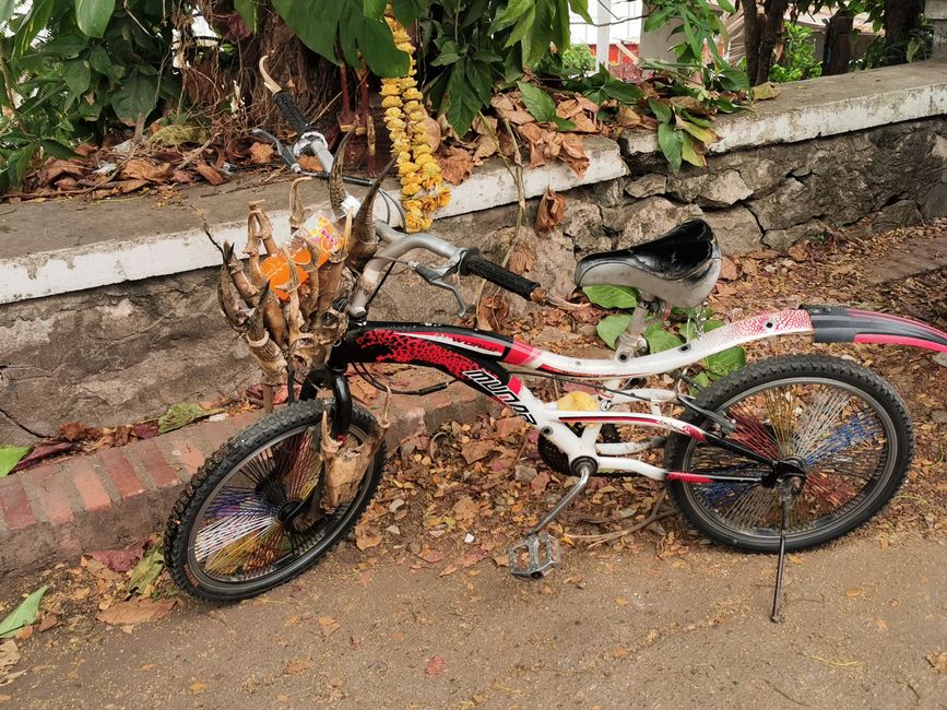 ... vélo stylé pour les jeunes, il doit y avoir un chasseur dans la famille ...