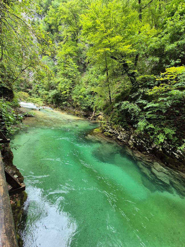 Vintgarklamm & Kremšnita👩‍♀️👨‍♂️