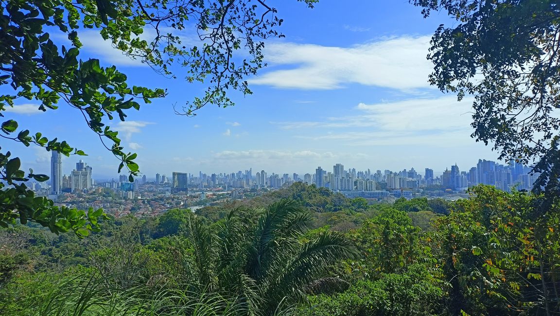 Panama City Potpourri 