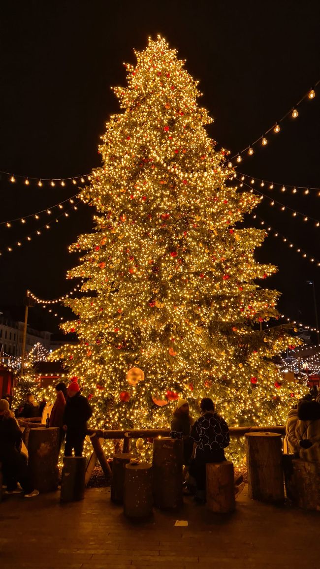14-29 dicembre 2025
25 dicembre