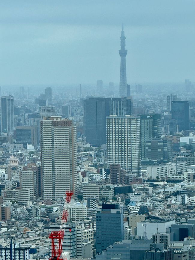 Parte 7
BENVENUTO IN GIAPPONE 🇯🇵
TOKYO