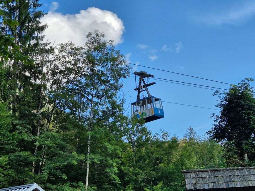 Nauf auf die Alm🐄