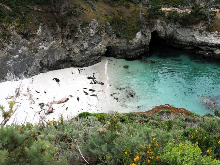 Reserva Nacional Point Lobos