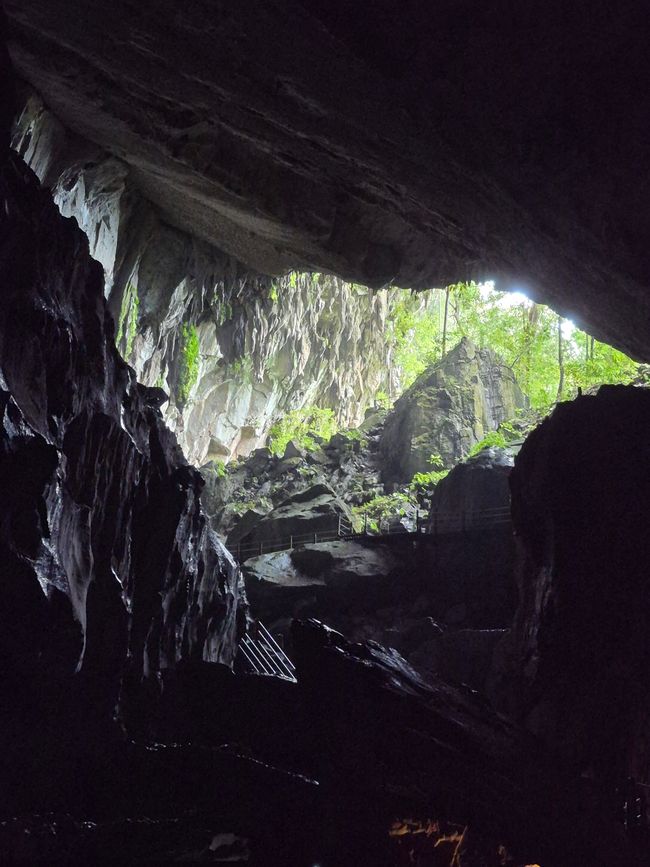 Parc National de Mulu