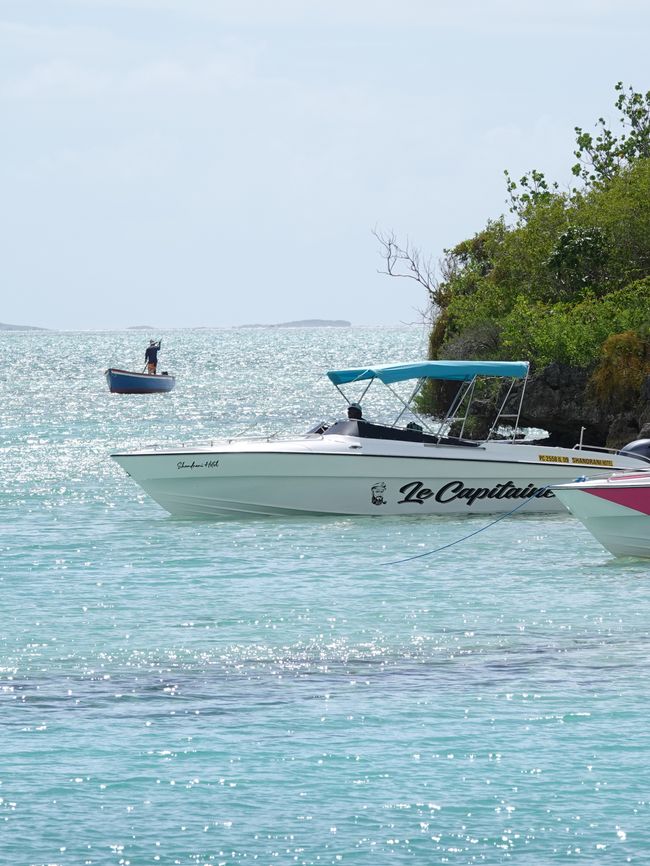 Con el catamarán ....