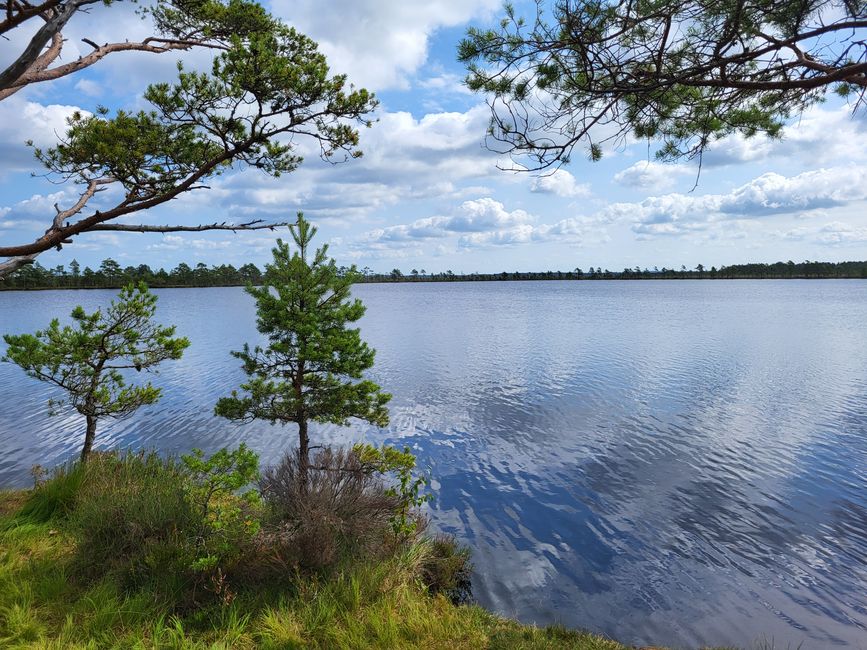 Store Mosse Nationalpark