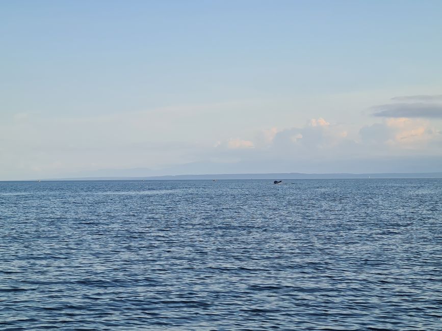 Orford Bay