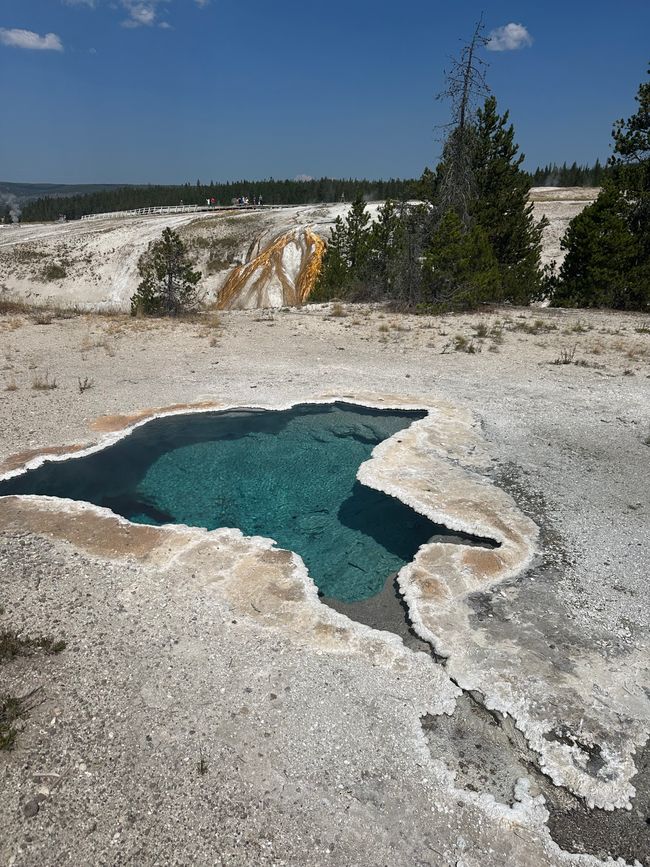 Wyoming: Yellowstone Part 1