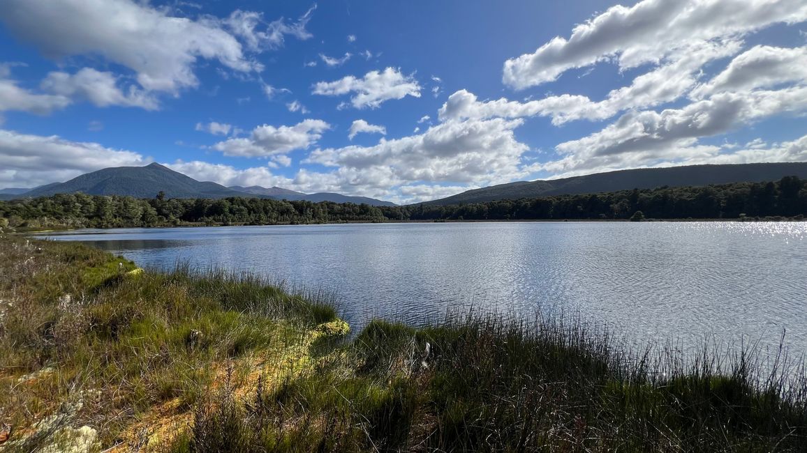Kepler Track