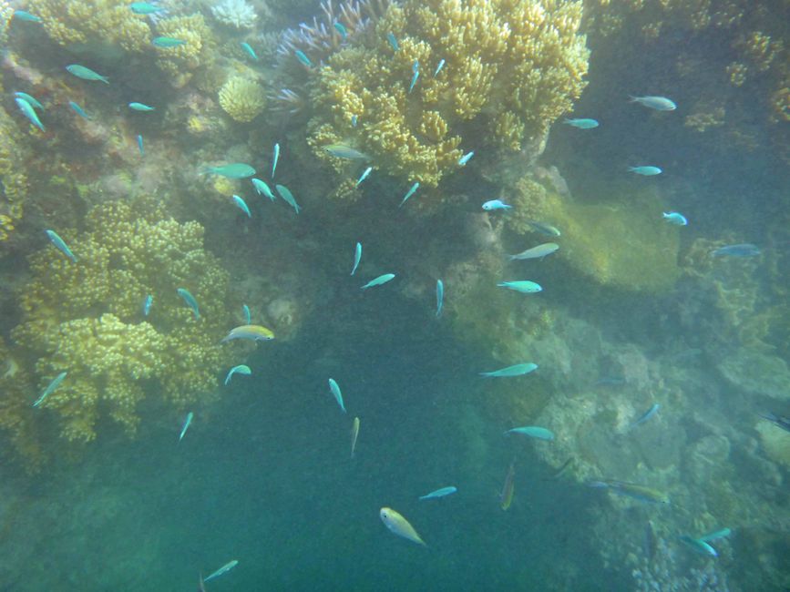 Yasawa-Inseln, Fidschi