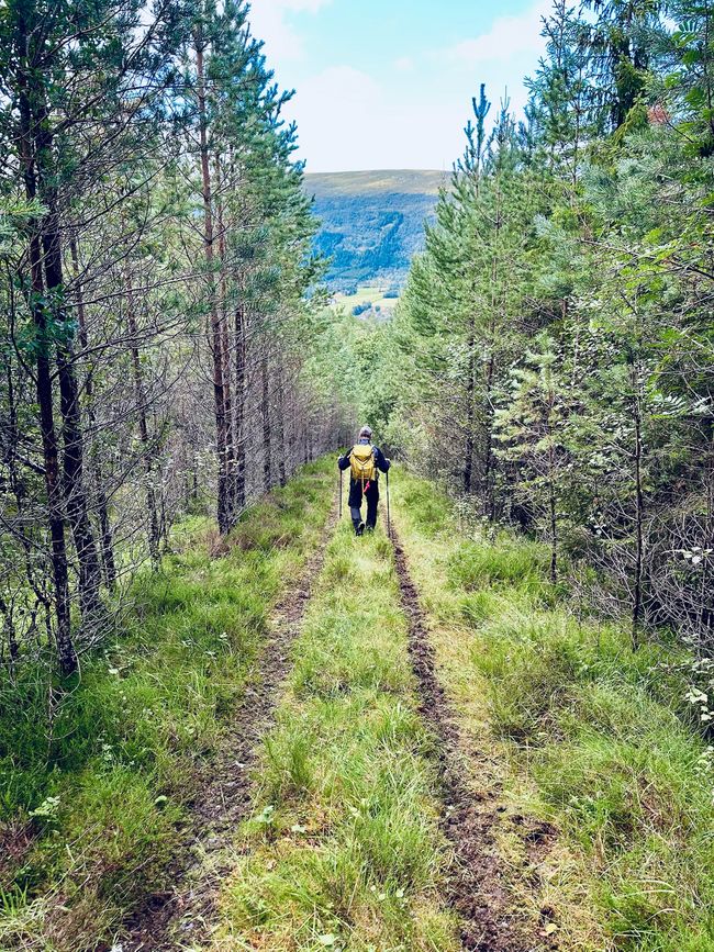 En la pista de los trolls: senderismo en Hustadvika