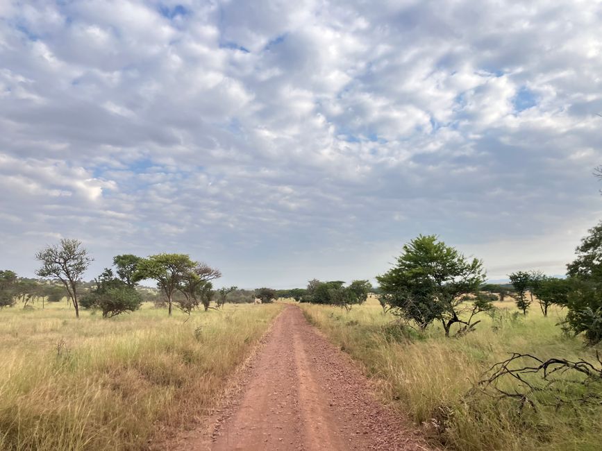En la Serengeti - Día 3