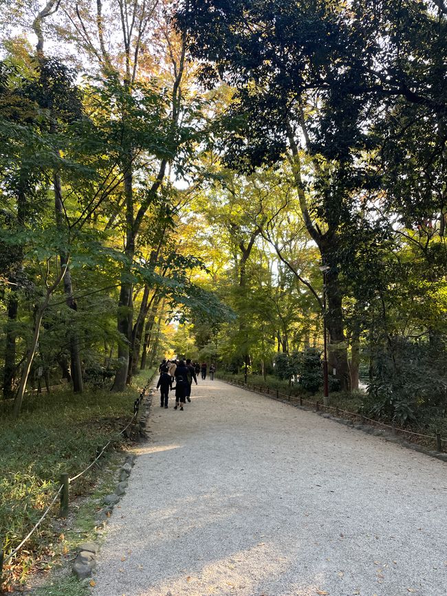Ein Park wie eine gotische Kirche