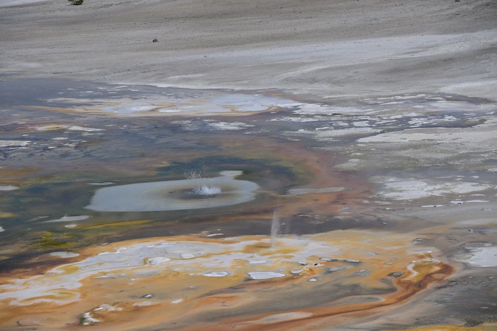 Norris Geyser Basin