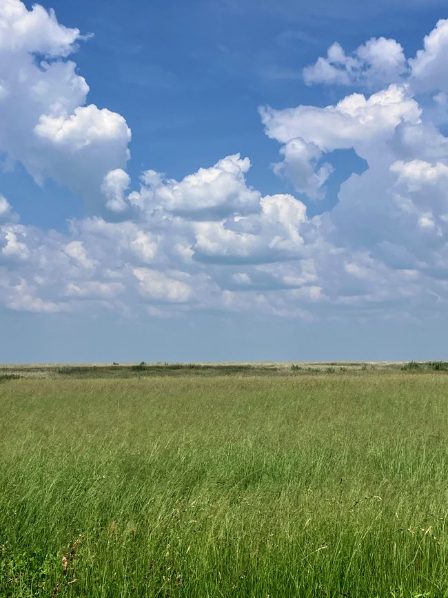 El Parque Nacional Etosha