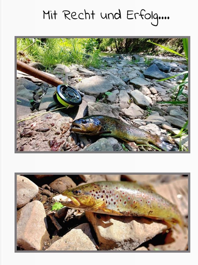 Not only fly fishing at the Kyll/Eifel