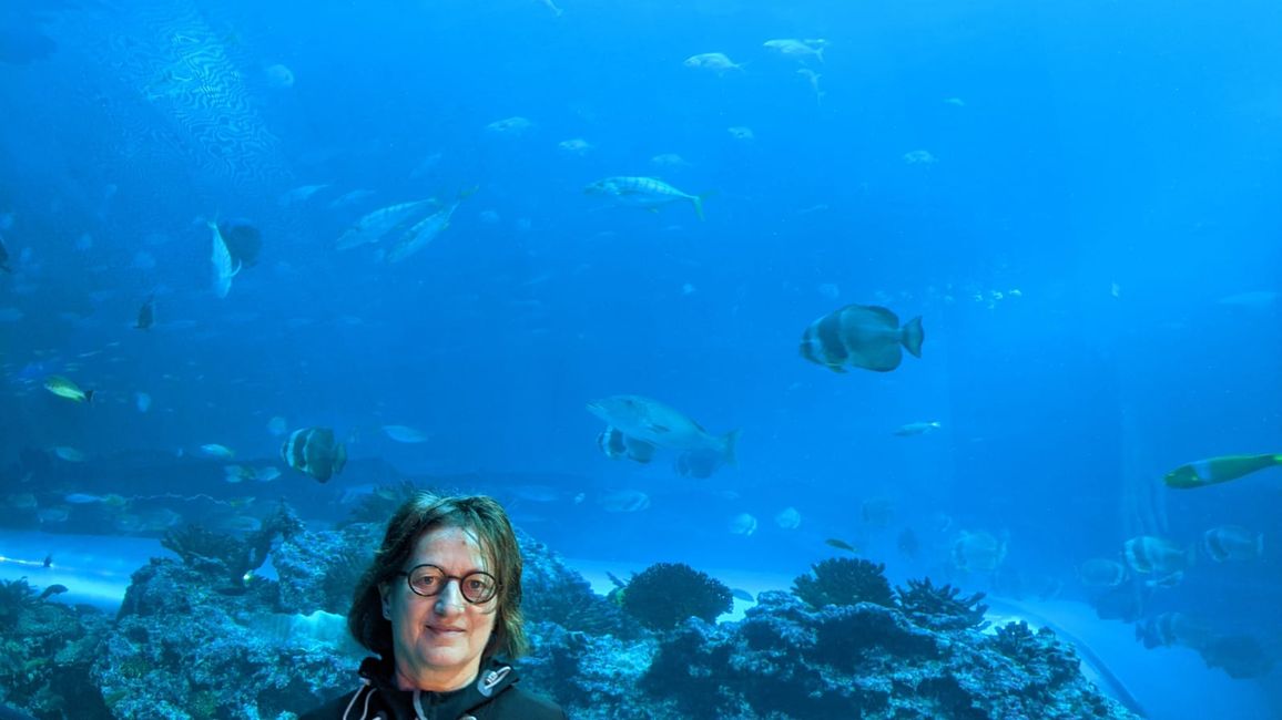 Checheng / Museo Nazionale di Biologia Marina & Museo