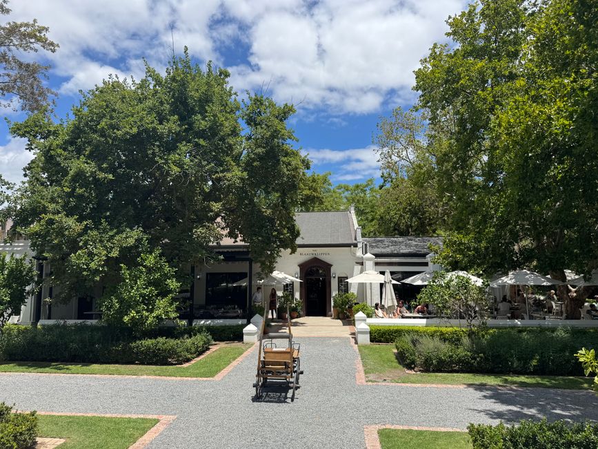 南非🇿🇦第二周