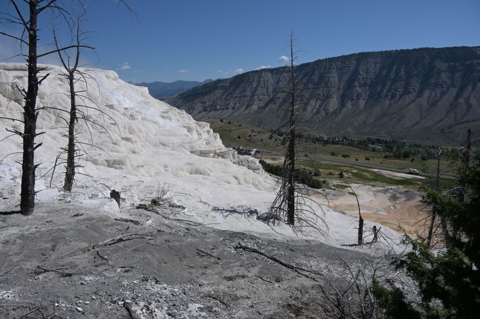 Mammoth Hot Springs - Sinterterrassen