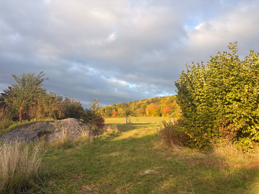 Herbstspaziergang in Deutschland
