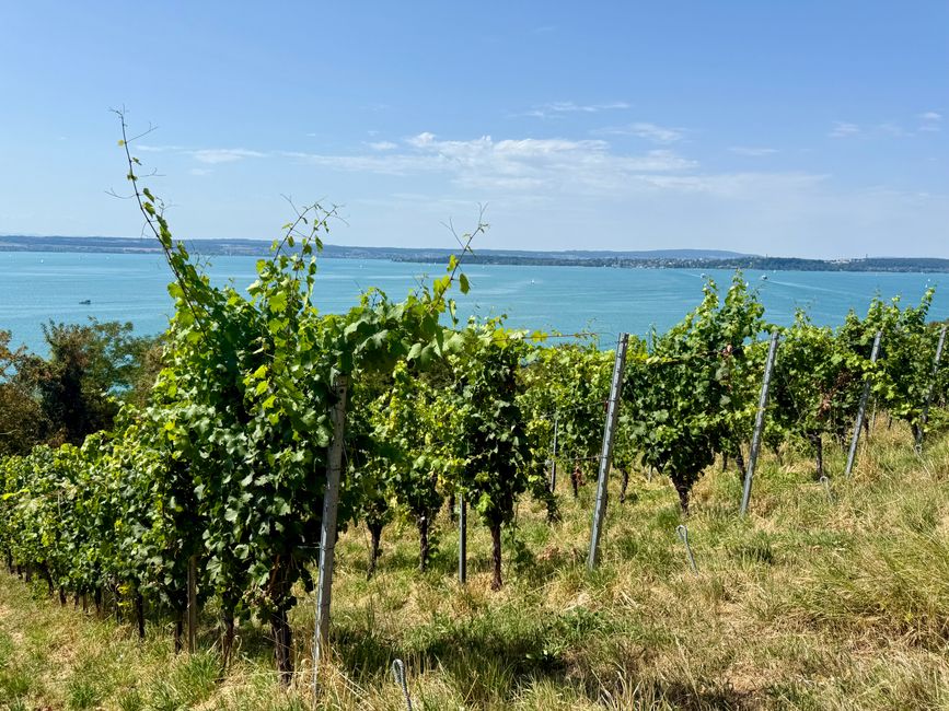 📍Meersburg, Bodensee
