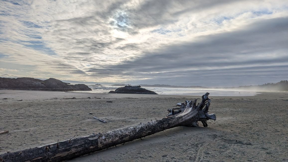 Driftwood Structures at Long Beach